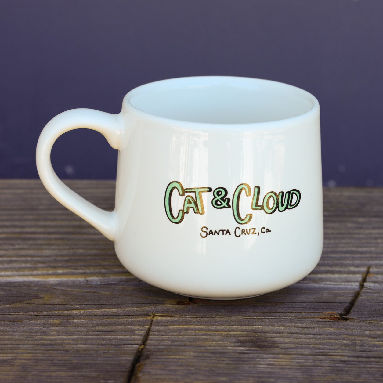 Roller Coaster Mug (12oz)